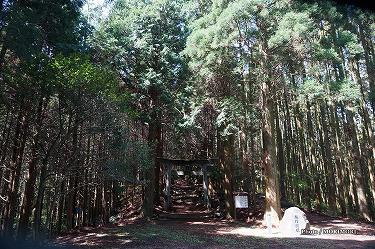 ■ 向山神社（高千穂町）鳥居前　mukaiyama02.jpg
