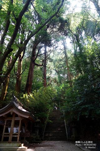 槵觸(くしふる)神社　参道石段