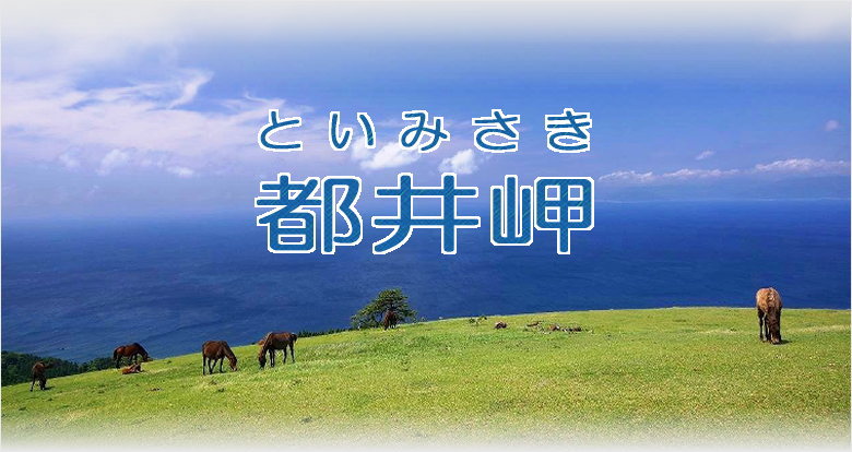 Photo Miyazaki s䖦iƂ݂jy[W^Cg