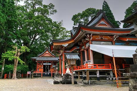 榎原神社（本殿と桜井神社）