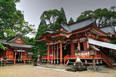 榎原神社（本殿と桜井神社）