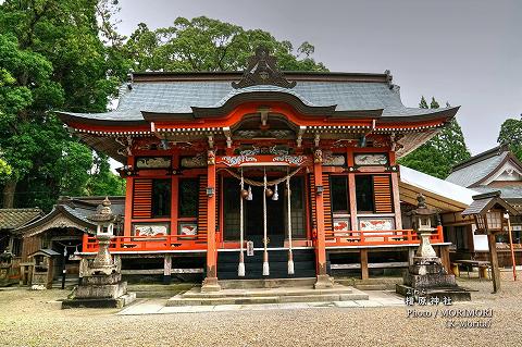 榎原神社 御本殿（県指定有形文化財）