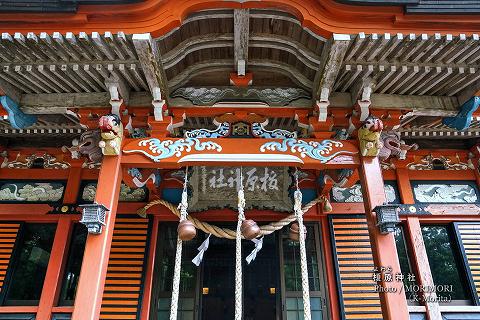 榎原神社 御本殿（県指定有形文化財）