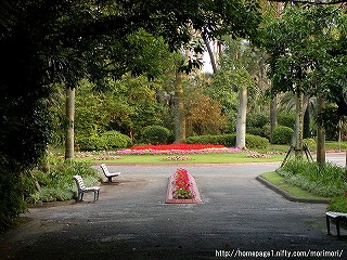 青島亜熱帯植物園-０１-円形大花壇