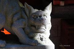 青島神社　狛犬