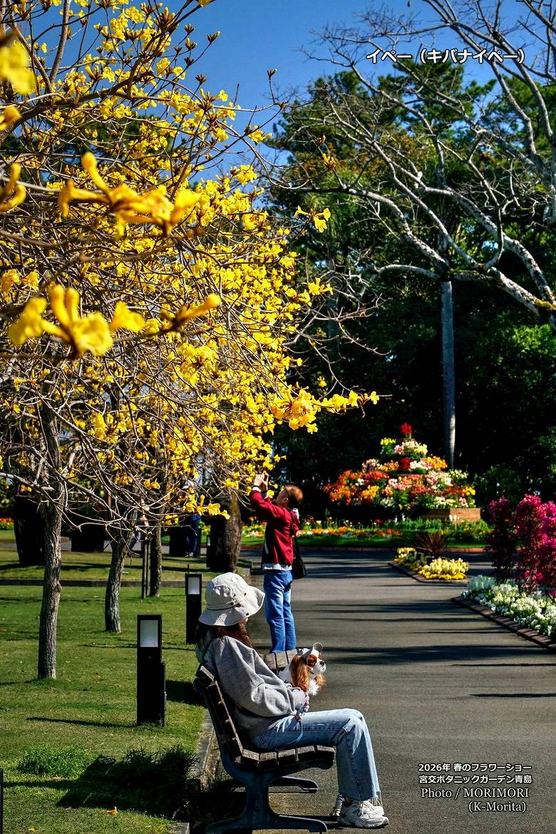 �C�y�[�̉� �����M�ѐA����(�{���{�^�j�b�N�K�[�f����)