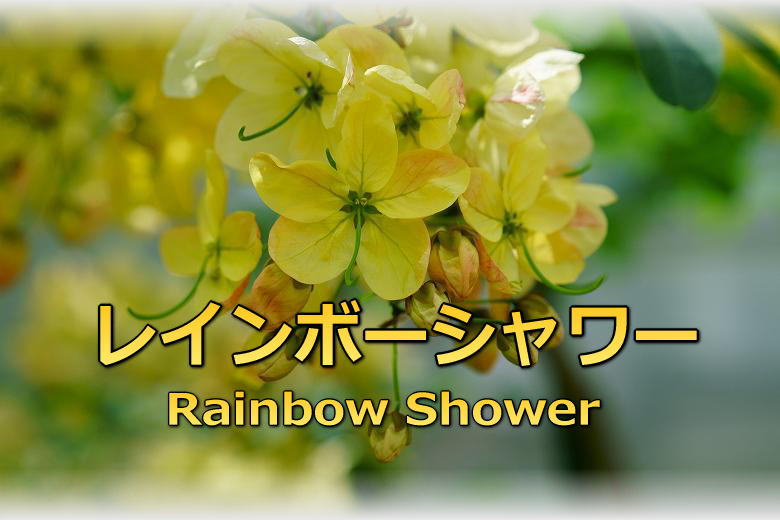 C{[V[iRainbowShowerj MѐA({{^jbNK[f)