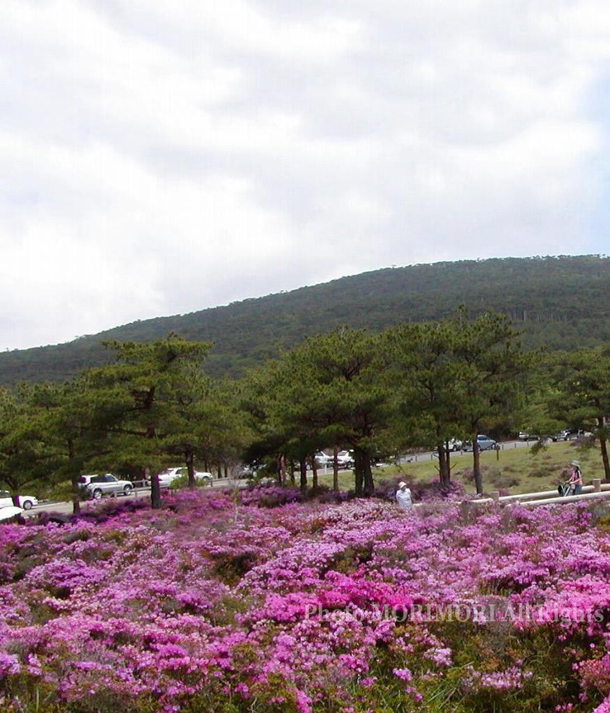 т̍@ũ~}LV}@Q@1-5