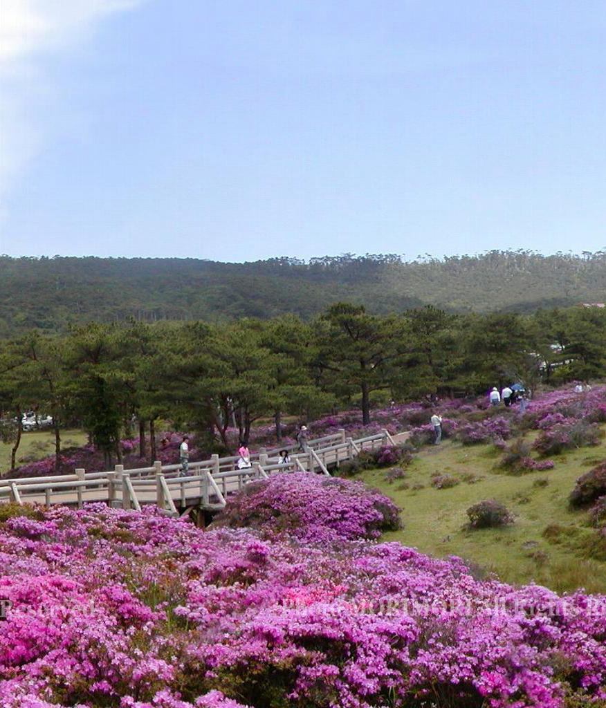 т̍@ũ~}LV}@Q@2-5