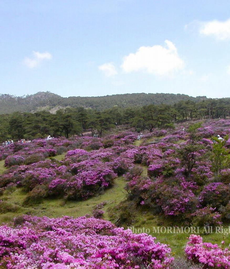 т̍@ũ~}LV}@Q@3-5