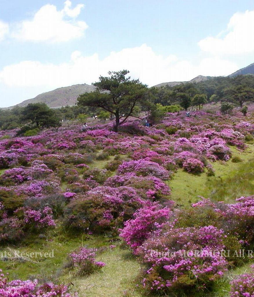 т̍@ũ~}LV}@Q@4-5