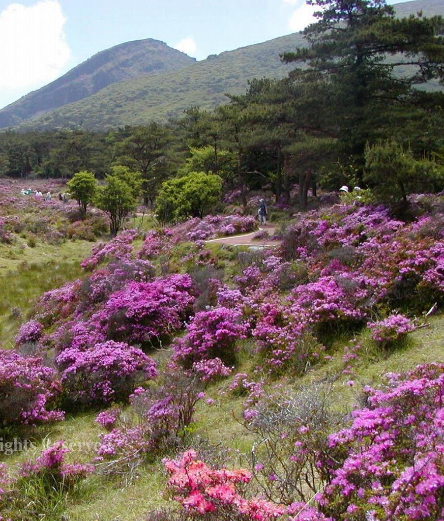 т̍@ũ~}LV}@Q@5-5