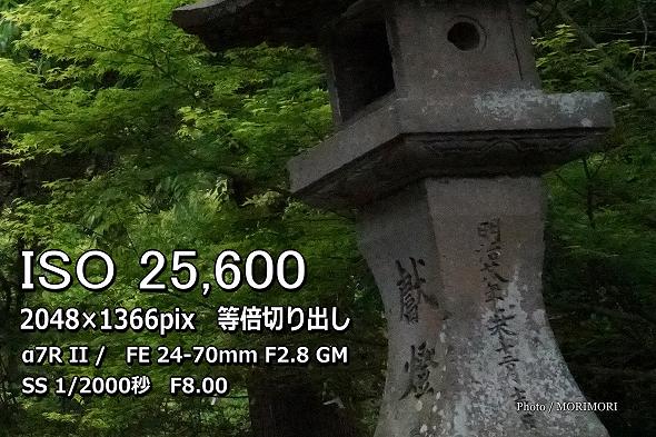 SONY¦Á£·£Ò¶¤Î¹â´¶ÅÙÀǽ¡¡ISO25,600¤Ç»£±Æ SONY¦Á£·£Ò¶¤Î¹â´¶ÅÙÀǽ¡¡ISO25,600¤Ç»£±Æ