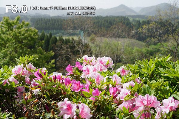 F8¡¡SONY Sonnar T* FE 55mm F1.8 ZA(SEL55F18Z¡Ë F8¡¡SONY Sonnar T* FE 55mm F1.8 ZA(SEL55F18Z¡Ë