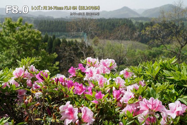 F8¡¡SONY FE24-70mm F2.8GM¡ÊSEL2470GM¡Ë F8¡¡SONY FE24-70mm F2.8GM¡ÊSEL2470GM¡Ë