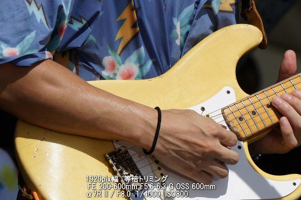 日中のフェスのギタリスト