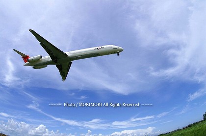 JAL3627¡¡M81¡¡Ê¡²¬ÊØ¡¡¡Ê¥Õ¥£¥Ã¥·¥å¥¢¥¤¥ì¥ó¥º¤Ç»£±Æ¡Ë JAL3627¡¡M81¡¡Ê¡²¬ÊØ¡¡¡Ê¥Õ¥£¥Ã¥·¥å¥¢¥¤¥ì¥ó¥º¤Ç»£±Æ¡Ë