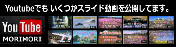 Youtube¡¡MORIMORI Youtube¡¡MORIMORI