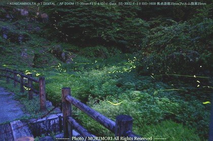 小林市 出の山公園のホタル 01