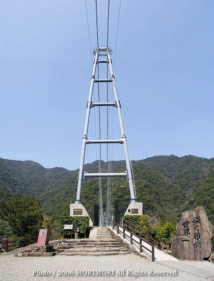 照葉大吊橋正面