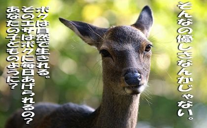 シカにエサを与えないで。コメント付き。
