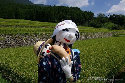 日南市坂元棚田のかかし