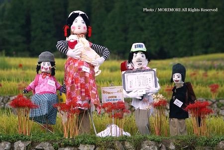 日南市坂元棚田(日本の棚田百選) 09秋 11