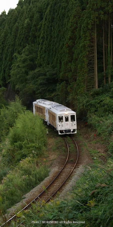 観光特急列車 JR 海幸山幸 04