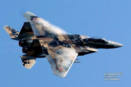 F-15 アグレッサー 新田原基地にて