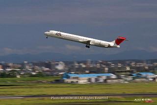 JAL MD-90 宮崎ブーゲンビリア空港
