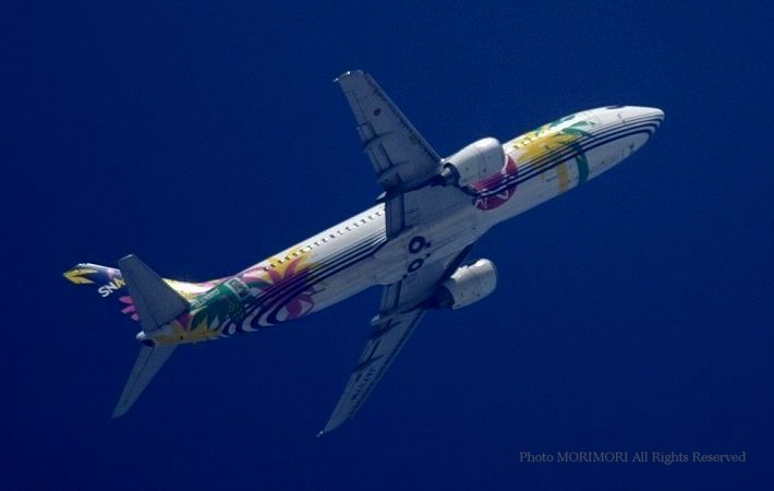 スカイネットアジア航空機　（宮崎市・天神山公園にて撮影）