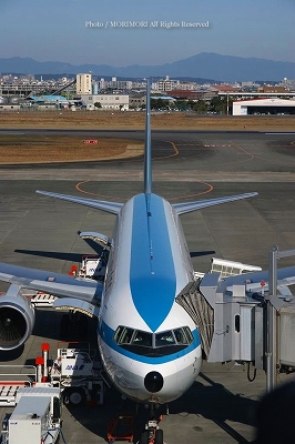 ANA全日空モヒカンジェット 宮崎ブーゲンビリア空港にて 上部モヒカン部 02