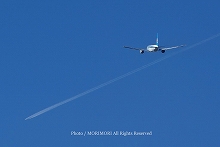 ANA全日空モヒカンジェット 宮崎ブーゲンビリア空港にて 離陸 11 上空にもう一機