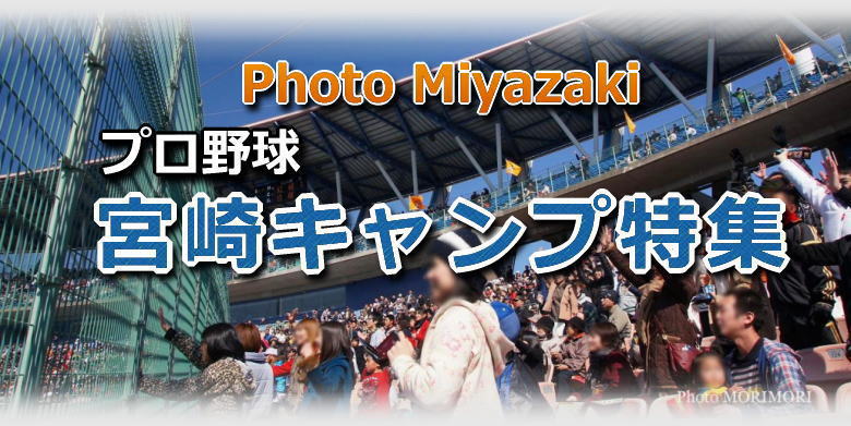 2015年-2018年　宮崎キャンプ・プロ野球チーム関連ニュース