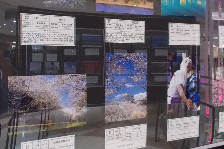 展示 展示