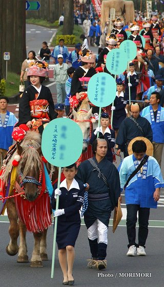 シャンシャン馬 (過去の写真より) シャンシャン馬 (過去の写真より)