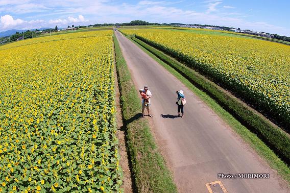 「日本のひなた宮崎県」フォトコン応募 夏の一コマ 「日本のひなた宮崎県」フォトコン応募 夏の一コマ