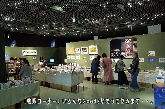 岩合光昭写真展「ねこ」 3 岩合光昭写真展「ねこ」 3