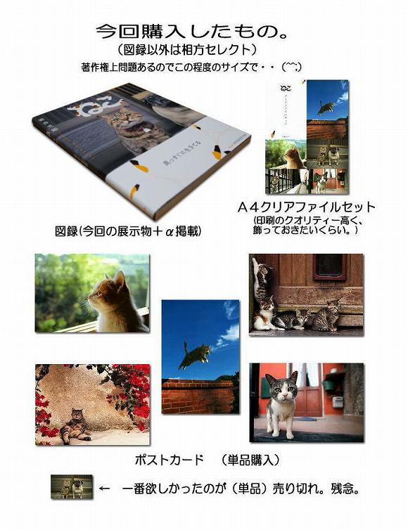 岩合光昭写真展「ねこ」で購入したもの 岩合光昭写真展「ねこ」で購入したもの