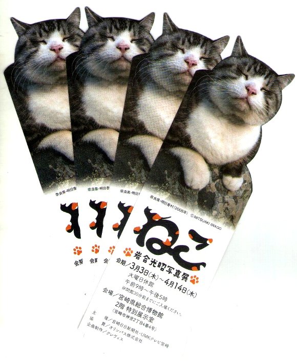 岩合光昭写真展「ねこ」チケット 岩合光昭写真展「ねこ」チケット