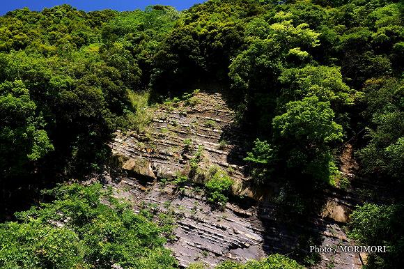 砂岩泥岩互層 宮崎市 国道220号 地福川付近 2 砂岩泥岩互層 宮崎市 国道220号 地福川付近 2