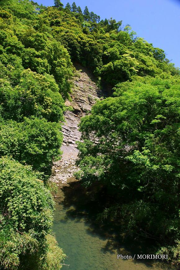 砂岩泥岩互層 宮崎市 国道220号 地福川付近 1 砂岩泥岩互層 宮崎市 国道220号 地福川付近 1