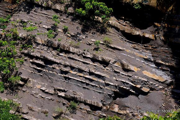 砂岩泥岩互層 宮崎市 国道220号 地福川付近 4 砂岩泥岩互層 宮崎市 国道220号 地福川付近 4