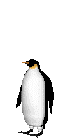 ペンギンアニメ