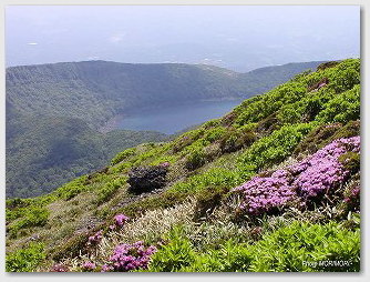 ミヤマキリシマの咲く韓国岳より見た大浪池