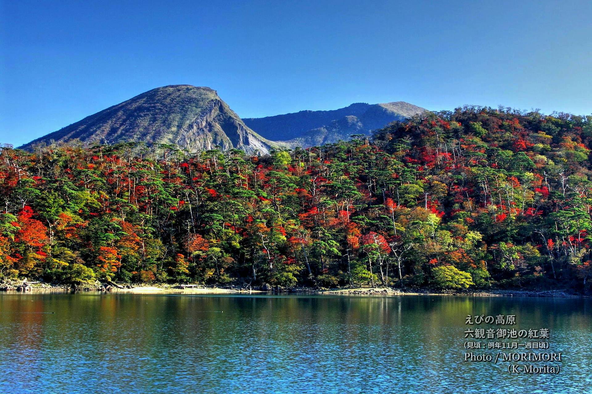 六観音御池の紅葉 宮崎県 えびの市 えびの高原