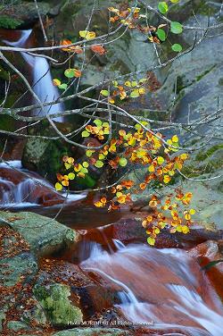 紅葉　と　七折の滝　