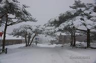 積雪したえびの高原/ 県道30号白鳥温泉方面