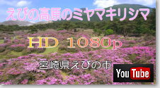 Photo Miyazaki т̍̃~}LV}