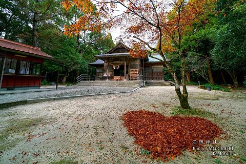 江田神社 境内の紅葉